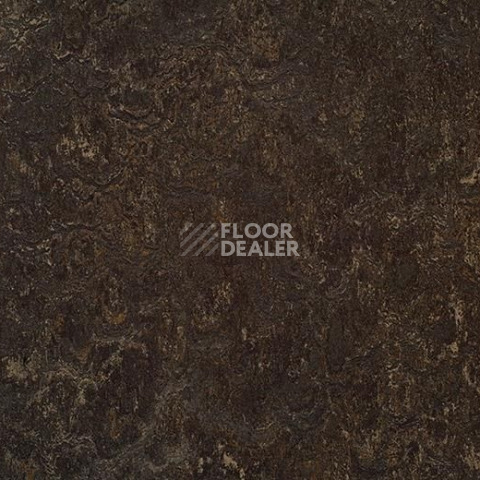 Линолеум Forbo Marmoleum Marbled Real 3236 Dark Bistre фото 1 | FLOORDEALER